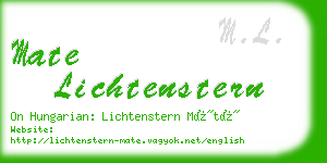 mate lichtenstern business card